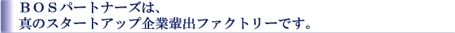 BOS�p�[�g�i�[�Y�͐^�̃X�^�[�g�A�b�v��Ɣy�o�t�@�N�g���[�ł��B